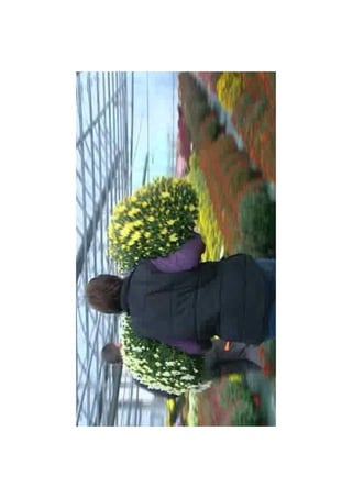 Diaporama toussaint limoges