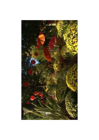 Diaporama toussaint limoges