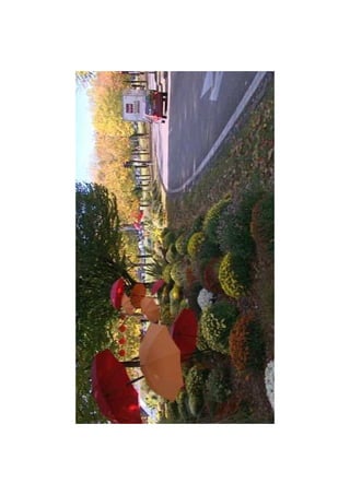 Diaporama toussaint limoges