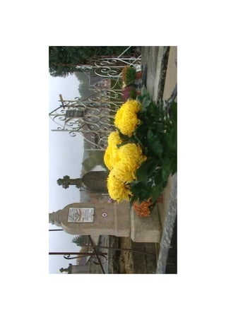 Diaporama toussaint limoges