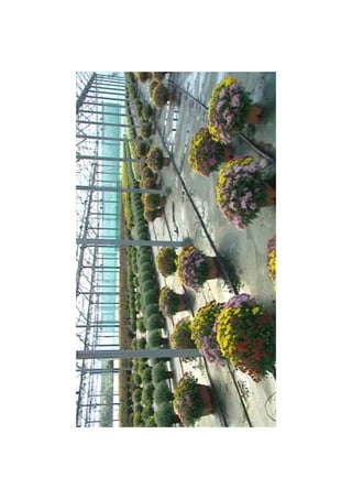 Diaporama toussaint limoges