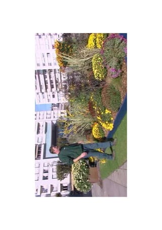 Diaporama toussaint limoges