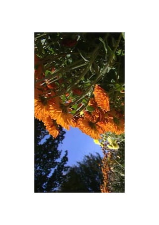 Diaporama toussaint limoges