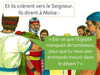 Et ils crièrent vers le Seigneur.
Ils dirent à Moïse :
« Est-ce que l’Egypte
manquait de tombeaux,
pour que tu nous aies
emmenés mourir dans
le désert ? »
 