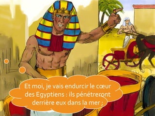 Et moi, je vais endurcir le cœur
des Egyptiens : ils pénétreront
derrière eux dans la mer ;
 