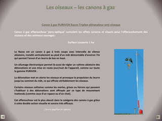 Canon à gaz PURIVOX Razzo Triplex-détonateur anti oiseaux

Canon à gaz effaroucheur 'pyro-optique' cumulant les effets sonores et visuels pour l'effarouchement des
oiseaux et des animaux sauvages .

                                                   Surface couverte 1 ha


Le Razzo est un canon à gaz à trois coups avec intervalle de silence
aléatoire, installé verticalement au pied d'un mât démontable d'environ 7m
qui permet l'envoi d'un leurre de bas en haut.

Un allumage électronique permet là-aussi de régler un rythme aléatoire des
détonations et une mise en route jour/nuit de l'appareil, comme sur toute
la gamme PURIVOX .

La détonation met en alerte les oiseaux et provoque la propulsion du leurre
jusqu'au sommet du mât, ce qui effraie véritablement les oiseaux.

Certains oiseaux solitaires comme les merles, grives ou hérons qui peuvent
s'habituer à des détonations sont effrayés par ce type de mouvement
inattendu (comme ceux d'un rapace ou d'un chat).

Cet effaroucheur est le plus abouti dans la catégorie des canons à gaz grâce
à cette double action visuelle et sonore très efficace.

                          ( leurre papillon en option)
 