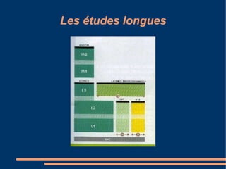 Les études longues 