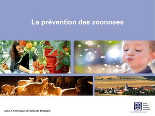 MSA d’Armorique et Portes de Bretagne
MSA d’Armorique et Portes de Bretagne
La prévention des zoonoses
 