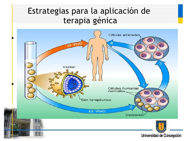 Terapia genica
