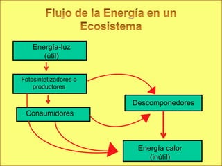 Energía-luz
       (útil)


Fotosintetizadores o
    productores

                       Descomponedores
 Consumidores



                        Energía calor
                           (inútil)
 