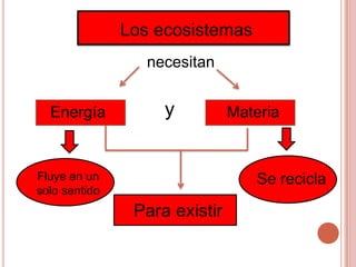 Los ecosistemas
                  necesitan


  Energía           y          Materia


Fluye en un                       Se recicla
solo sentido
                Para existir
 
