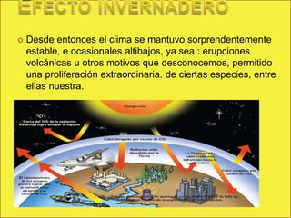    Desde entonces el clima se mantuvo sorprendentemente
    estable, e ocasionales altibajos, ya sea : erupciones
    volcánicas u otros motivos que desconocemos, permitido
    una proliferación extraordinaria. de ciertas especies, entre
    ellas nuestra.
 