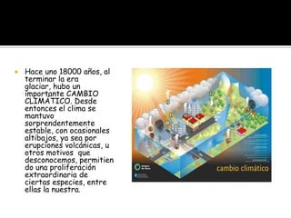    Hace uno 18000 años, al
    terminar la era
    glaciar, hubo un
    importante CAMBIO
    CLIMÁTICO. Desde
    entonces el clima se
    mantuvo
    sorprendentemente
    estable, con ocasionales
    altibajos, ya sea por
    erupciones volcánicas, u
    otros motivos que
    desconocemos, permitien
    do una proliferación
    extraordinaria de
    ciertas especies, entre
    ellas la nuestra.
 