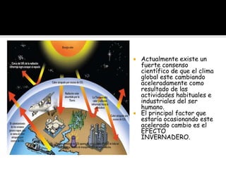    Actualmente existe un
    fuerte consenso
    científico de que el clima
    global este cambiando
    aceleradamente como
    resultado de las
    actividades habituales e
    industriales del ser
    humano.
   El principal factor que
    estaría ocasionando este
    acelerado cambio es el
    EFECTO
    INVERNADERO.
 