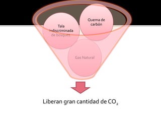 Quema de
        Tala               carbón
  indiscriminada
    de bosques.




                   Gas Natural




Liberan gran cantidad de CO2
 