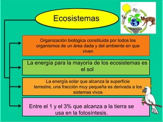 Ecosistemas

     Organización biológica constituida por todos los
   organismos de un área dada y del ambiente en que
                          viven

La energía para la mayoría de los ecosistemas es
                     el sol

        La energía solar que alcanza la superficie
  terrestre, una fracción muy pequeña es derivada a los
                       sistemas vivos


Entre el 1 y el 3% que alcanza a la tierra se
            usa en la fotosíntesis.
 