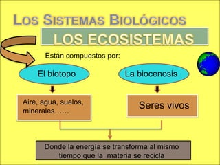 Están compuestos por:

    El biotopo                La biocenosis


Aire, agua, suelos,
minerales……
                                 Seres vivos



      Donde la energía se transforma al mismo
         tiempo que la materia se recicla
 