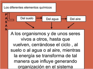 Los diferentes elementos químicos

P
A          Del suelo         Del agua   Del aire
S
A
N
    A los organismos y de unos seres
         vivos a otros, hasta que
     vuelven, cerrándose el ciclo , al
    suelo o al agua o al aire, mientras
     la energía se transforma de tal
     manera que influye generando
        organización en el sistema
 
