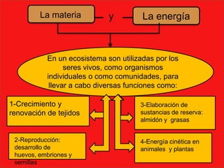 La materia          y         La energía



           En un ecosistema son utilizadas por los
                 seres vivos, como organismos
           individuales o como comunidades, para
            llevar a cabo diversas funciones como:

1-Crecimiento y                       3-Elaboración de
renovación de tejidos                 sustancias de reserva:
                                      almidón y grasas


 2-Reproducción:                      4-Energía cinética en
 desarrollo de                        animales y plantas
 huevos, embriones y
 semillas
 