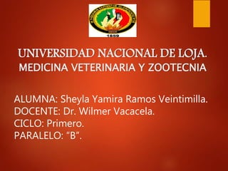 UNIVERSIDAD NACIONAL DE LOJA.
MEDICINA VETERINARIA Y ZOOTECNIA
ALUMNA: Sheyla Yamira Ramos Veintimilla.
DOCENTE: Dr. Wilmer Vacacela.
CICLO: Primero.
PARALELO: “B”.
 