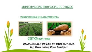 MUNICIPALIDAD PROVINCIAL DE OTUZCO
PROYECTODEECASENEL CULTIVODEPAPA
GESTIÓN2019 - 2022
RESPONSABLE DE ECA DE PAPA 2021-2022-
Ing. Osver Antony Reyes Rodriguez
 