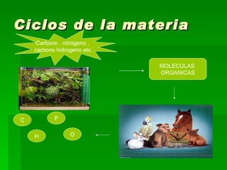 Ciclos de la materia   Carbono , nitrógeno ,  carbono hidrogeno etc. C H P O MOLECULAS  ORGANICAS 