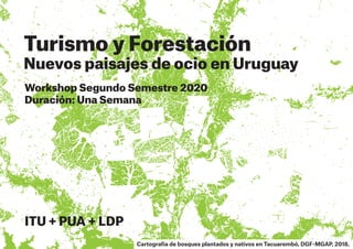 Turismo y Forestación
Nuevos paisajes de ocio en Uruguay
Workshop Segundo Semestre 2020
Duración: Una Semana
ITU + PUA + LDP
Cartografía de bosques plantados y nativos en Tacuarembó, DGF-MGAP, 2018.
 