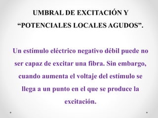 UMBRAL DE EXCITACIÓN Y
“POTENCIALES LOCALES AGUDOS”.
Un estímulo eléctrico negativo débil puede no
ser capaz de excitar una fibra. Sin embargo,
cuando aumenta el voltaje del estímulo se
llega a un punto en el que se produce la
excitación.
 