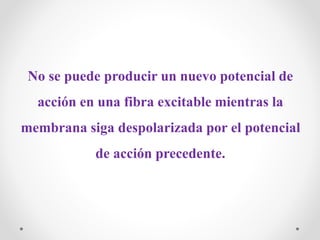 No se puede producir un nuevo potencial de
acción en una fibra excitable mientras la
membrana siga despolarizada por el potencial
de acción precedente.
 