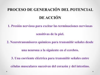 PROCESO DE GENERACIÓN DEL POTENCIAL
DE ACCIÓN
1. Presión nerviosa para excitar las terminaciones nerviosas
sensitivas de la piel.
2. Neurotransmisores químicos para transmitir señales desde
una neurona a la siguiente en el cerebro.
3. Una corriente eléctrica para transmitir señales entre
células musculares sucesivas del corazón y del intestino.
 