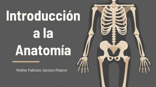 Introducción
a la
Anatomía
Walter Fabrizio Jacinto Pizarro
 
