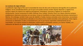 Los esclavos de origen africano
La población negra llegó al Perú por la necesidad de mano de obra ante el descenso demográfico de la población
indígena. Se les consideraba bienes, por lo que se les podía comprar vender alquilar depositar o regalar.A los
esclavos negros los trajeron los negreros portugueses, holandeses, franceses e ingleses en condiciones
infrahumanas. Fueron numerosos en Saña, Chancay, Lima, Cañete, Chincha, Pisco, lca y Nasca, Muchos esclavos
establecieron relaciones estrechas con sus amos, lo que se manifestó en el gran número de esclavos manumisos o
libertos. Sin embargo, también hubo casos de rebelión o huidas masivas conocidas como cimarrones. Los esclavos
cimarrones vivían en campamentos ubicados en las afueras de la ciudad conocidos como palenques. Estos negros
cimarrones se dedicaban al robo y el bandolerismo, por lo que fueron reprimidos violentamente por las
autoridades. Las mujeres esclavas se dedicaban mayormente a actividades caseras y, en menor medida, a la
realización de labores de campo, como en los viñedos o algodonales.
 