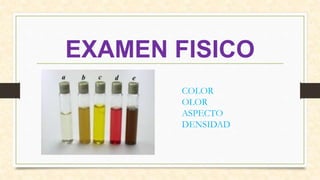 EXAMEN FISICO
COLOR
OLOR
ASPECTO
DENSIDAD
 