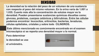 La densidad es la relación del peso de un volumen de una sustancia
con respecto al peso del mismo volumen. En la orina varia de 1.001 a
1.035. Cuanto más alta la concentración de solutos mayor es la
densidad. Pueden presentarse sustancias químicas disueltas como;
glucosa, proteínas, cuerpos cetónicos y bilirrubinas. Entre las células
podemos encontrar: leucocitos, eritrocitos, bacterias, levaduras,
células epiteliales, cristales y sobre todo CILINDROS.
Este último mencionado es comúnmente encontrado en el examen
microscópico si se reporta una densidad mayor a la normal.
Para determinar
la densidad se usa
el urinómetro.
DENSIDAD
 