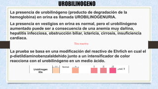 UROBILINOGENO
La presencia de urobilinógeno (producto de degradación de la
hemoglobina) en orina es llamada UROBILINOGENURIA.
La presencia en vestigios en orina es normal, pero el urobilinógeno
aumentado puede ser a consecuencia de una anemia muy dañina,
hepatitis infecciosa, obstrucción biliar, ictericia, cirrosis, insuficiencia
cardiaca.
La prueba se basa en una modificación del reactivo de Ehrlich en cual el
p-dietildiaminobenzalaldehido junto a un intensificador de color
reacciona con el urobilinógeno en un medio ácido.
Tira reactiva
 