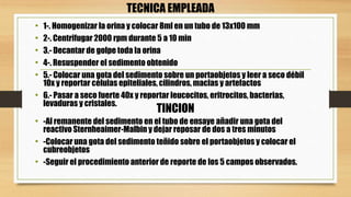TECNICA EMPLEADA
• 1-. Homogenizar la orina y colocar 8ml en un tubo de 13x100 mm
• 2-. Centrifugar 2000 rpm durante 5 a 10 min
• 3.- Decantar de golpe toda la orina
• 4-. Resuspender el sedimento obtenido
• 5.- Colocar una gota del sedimento sobre un portaobjetos y leer a seco débil
10x y reportar células epiteliales, cilindros, maclas y artefactos
• 6.- Pasar a seco fuerte 40x y reportar leucocitos, eritrocitos, bacterias,
levaduras y cristales.
TINCION
• -Al remanente del sedimento en el tubo de ensaye añadir una gota del
reactivo Sternheaimer-Malbin y dejar reposar de dos a tres minutos
• -Colocar una gota del sedimento teñido sobre el portaobjetos y colocar el
cubreobjetos
• -Seguir el procedimiento anterior de reporte de los 5 campos observados.
 
