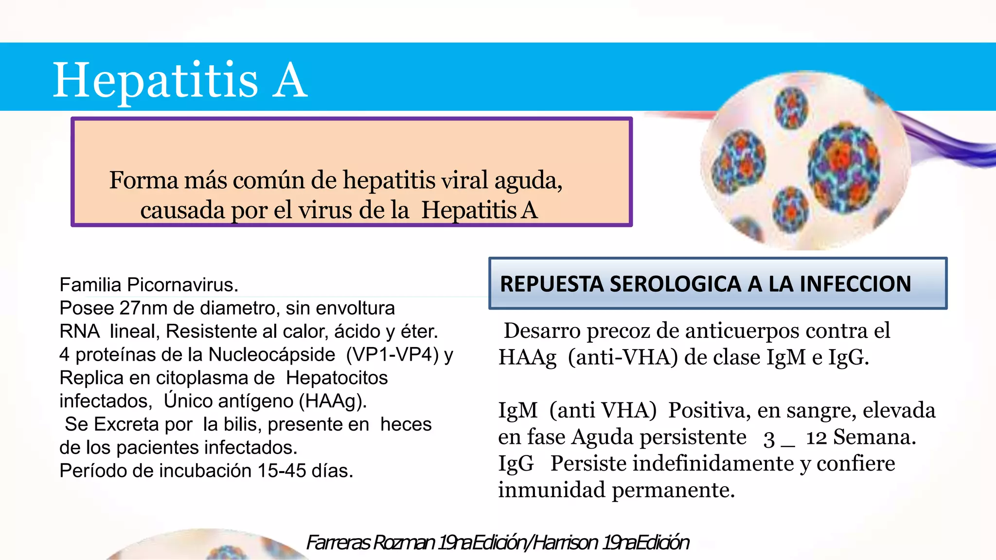 hepatitis-pptx