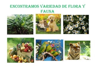 Encontramos variedad de flora y
fauna

 