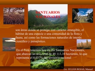 SANTUARIOS 
NACIONALES 
son áreas donde se protege, con carácter intangible, el 
hábitat de una especie o una comunidad de la flora y 
fauna, así como las formaciones naturales de interés 
científico y paisajístico. 
En el Perú tenemos hoy en día Santuarios Nacionales, 
que abarcan un área total de 48 113,10 hectáreas, lo que 
representa el 0,037% del territorio nacional 
Lic. JULIÁN ROJAS, Manuel 
 