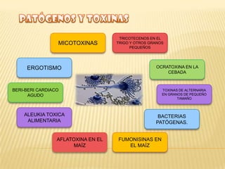 MICOTOXINAS
ERGOTISMO
BERI-BERI CARDIACO
AGUDO
ALEUKIA TOXICA
ALIMENTARIA
AFLATOXINA EN EL
MAÍZ
TOXINAS DE ALTERNARIA
EN GRANOS DE PEQUEÑO
TAMAÑO
OCRATOXINA EN LA
CEBADA
TRICOTECENOS EN EL
TRIGO Y OTROS GRANOS
PEQUEÑOS
BACTERIAS
PATÓGENAS.
FUMONISINAS EN
EL MAÍZ
 
