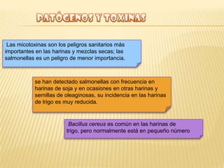 Las micotoxinas son los peligros sanitarios más
importantes en las harinas y mezclas secas; las
salmonellas es un peligro de menor importancia.
se han detectado salmonellas con frecuencia en
harinas de soja y en ocasiones en otras harinas y
semillas de oleaginosas, su incidencia en las harinas
de trigo es muy reducida.
Bacillus cereus es común en las harinas de
trigo, pero normalmente está en pequeño número
 