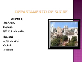 Superficie
10.670 km2
Población
870.219 Habitantes

Densidad
81.56 Hab/Km2
Capital
Sincelejo
 