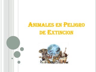 ANIMALES EN PELIGRO
    DE EXTINCION
 