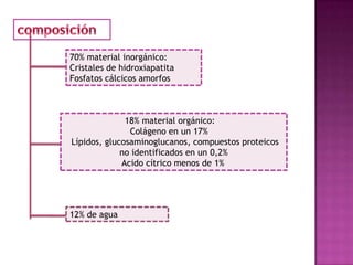 70% material inorgánico:
Cristales de hidroxiapatita
Fosfatos cálcicos amorfos



              18% material orgánico:
               Colágeno en un 17%
Lípidos, glucosaminoglucanos, compuestos proteicos
             no identificados en un 0,2%
             Acido cítrico menos de 1%




12% de agua
 