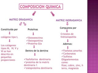 Compuesta por
Constituida por         Proteínas
                                                 Cristales de
colágeno tipo I,       Osteonectina             hidroxiapatita
                       Osteopontina
                       Proteína Gla               Ademas:
Los colágenos
tipos III, IV, V y
VI se han             Dentro de la dentina        Fosfatos amorfos
descrito en                                       Carbonatos
pequeñas                                          Sulfatos
proporciones         fosfoforina dentinaria      Oligoelementos
                     proteína de la matriz       como:
                     dentinaria 1                 flúor, cobre, zinc, h
                     sialoproteína dentinaria    ierro, magnesio
 