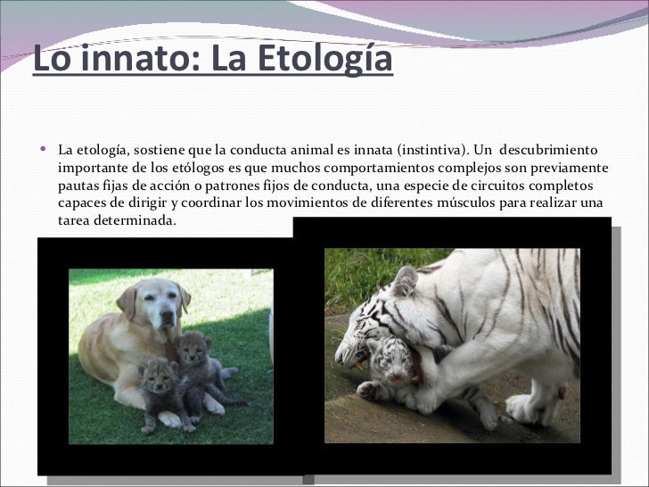 Etologia