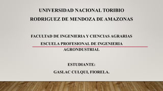 UNIVERSIDAD NACIONAL TORIBIO
RODRIGUEZ DE MENDOZA DE AMAZONAS
FACULTAD DE INGENIERIA Y CIENCIAS AGRARIAS
ESCUELA PROFESIONAL DE INGENIERIA
AGRONDUSTRIAL
ESTUDIANTE:
GASLAC CULQUI, FIORELA.
 