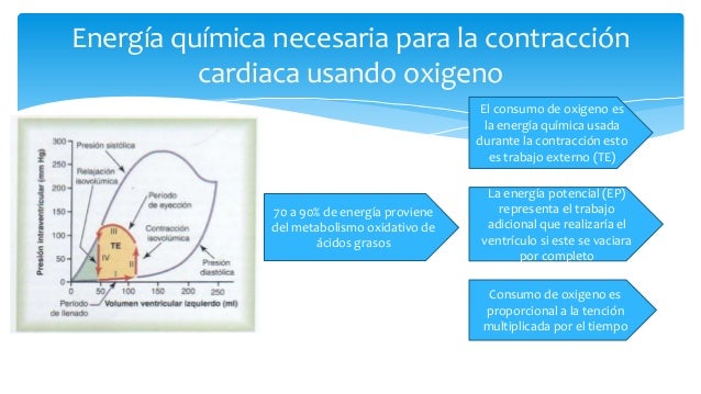 Resultado de imagen para EnergÃ­a quÃ­mica necesaria para la contracciÃ³n cardÃ­aca