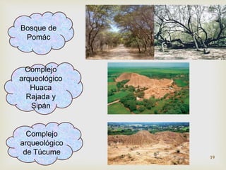 Bosque de 
Pomác 
Complejo 
arqueológico 
Huaca 
Rajada y 
Sipán 
Complejo 
arqueológico 
de Túcume 
19 
 