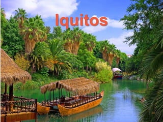Iquitos 
 
20 
 